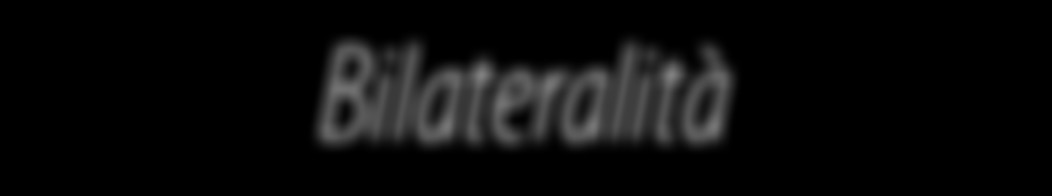 Bilateralità Parte Economica La nostra Federazione in questo ambito ha perseguito l individuazione di una richiesta economica in grado di confermare i principi introdotti con il protocollo sul nuovo