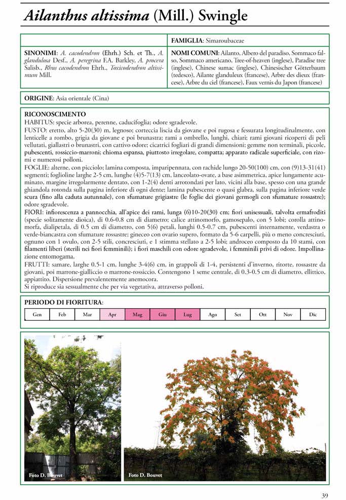 LE SPECIE ESOTICHE INVASIVE IN PIEMONTE 3521 entità 371 ESOTICHE 62 invasive 2 Localmente invasive (0.5%) 60 Invasive (16.2%) 47 Non più segnalate (12.7%) 106 Naturalizzate (28.6%) 156 Casuali (42.