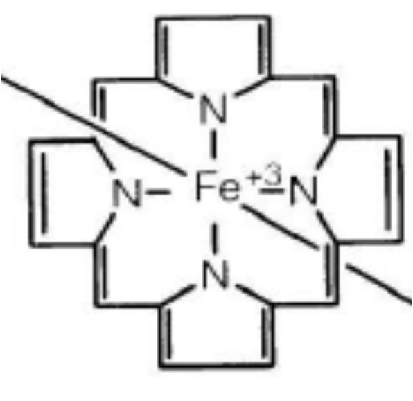 Reazione generale del CYP450 RH (substrato) + O 2 + NADPH + H + ROH + H 2 O + NADP + E una reazione di monoossigenazione in cui un atomo di ossigeno è incorporato nel substrato; l altro atomo di