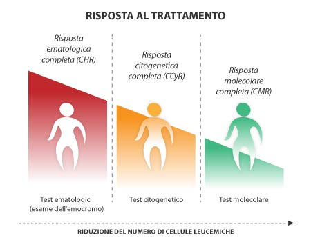 Baccarani M & Pane F 2015 Focus sulla malattia Per molti anni