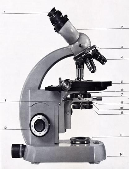 PARTI COSTITUTIVE DEL MICROSCOPIO FOTONICO 1. Oculare, inserito senza bloccaggio nella parte superiore del tubo. Il valore da esso riportato, ad es.