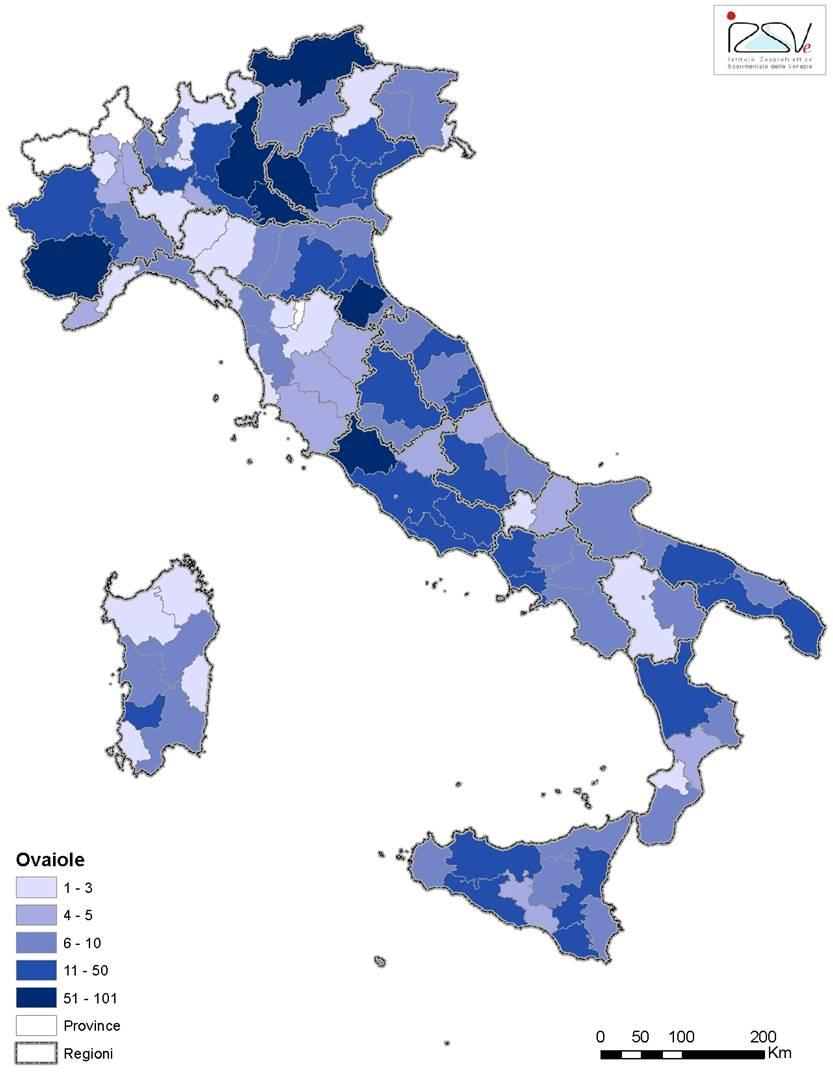 Regione del Veneto-A.O.O Giunta Regionale n.prot.