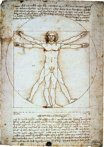 A misura d'uomo: Leonardo e l'uomo vitruviano Focalizziamo poi la nostra attenzione su tre frasi scritte da Leonardo da Vinci.