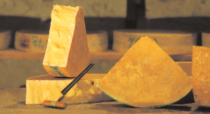 0 Il Bitto è un formaggio grasso d alpe la cui grande qualità è attestata da almeno cinque secoli e che occupa nella storia del caseificio alpino un ruolo di primo piano insieme ad altri formaggi