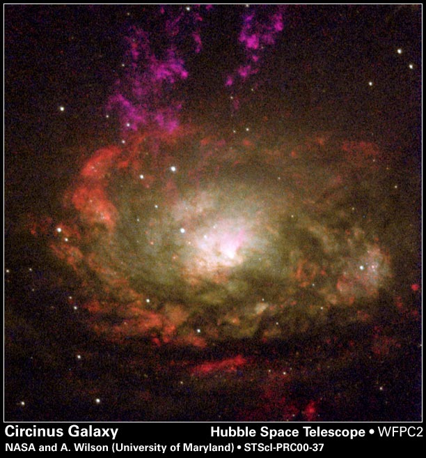 Galassie Attive e Quasar Nearest Quasar 3C 273 Circa il 10% di tutte le galassie hanno Nuclei Galattici Attivi (Active Galactic Nuclei - AGN).