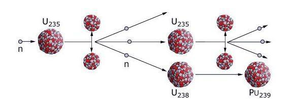 CENTRALE NUCLEARE La fissione nucleare si ottiene bombardando con neutroni i nuclei di uranio 235 o di plutonio-239.