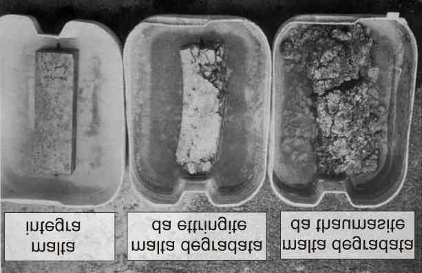 3 Degrado del calcestruzzo causato dalla formazione di ettringite e thaumasite. Fig.