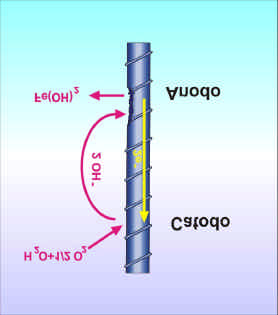5 La carbonatazione e la corrosione dei ferri d armatura I ferri o le barre d'armatura sono un elemento fondamentale del calcestruzzo armato, che si chiama così proprio per la loro presenza.
