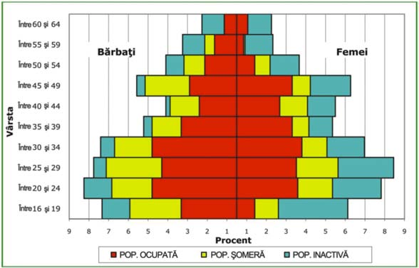 Între 25 ºi 59 de ani se concretizeazã cel mai mare numãr de activi, iar în toate grupele de vârstã primeazã situaþia de ocupare în faþa celei de ºomer ºi inactivitate, fiind tocmai intervalul de