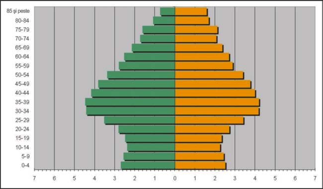 C) Populaþia spaniolã în general Piramidele populaþionale sunt o bunã metodã de a observa configuraþia demograficã a unei populaþii, iar indicatorii permit analizarea amãnunþitã a diferenþelor ºi