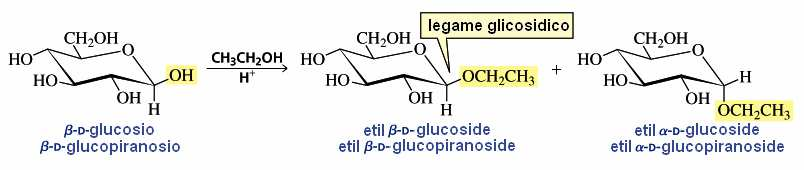 Formazione di glicosidi Trattando un monosaccaride con un alcol in ambiente acido, si ottiene il corrispondente acetale, chiamato glicoside.
