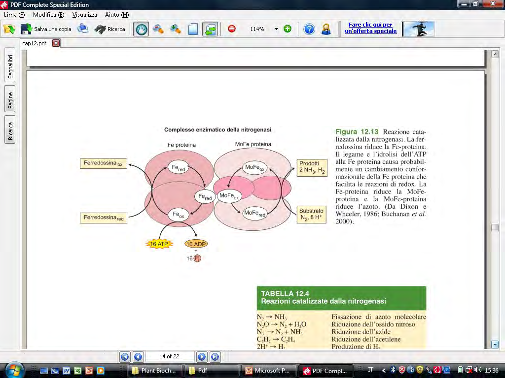 NITROGENASI N 2 + 8e - + 8H + + 16ATP 2NH 3 + H 2 + 16