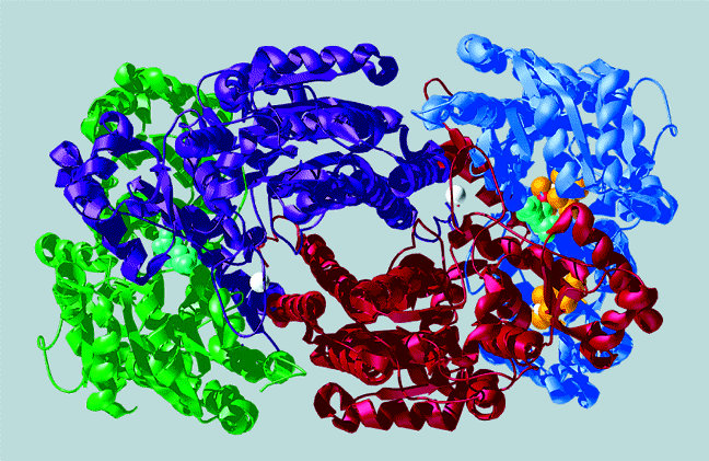 FISSAZIONE BIOLOGICA DELL