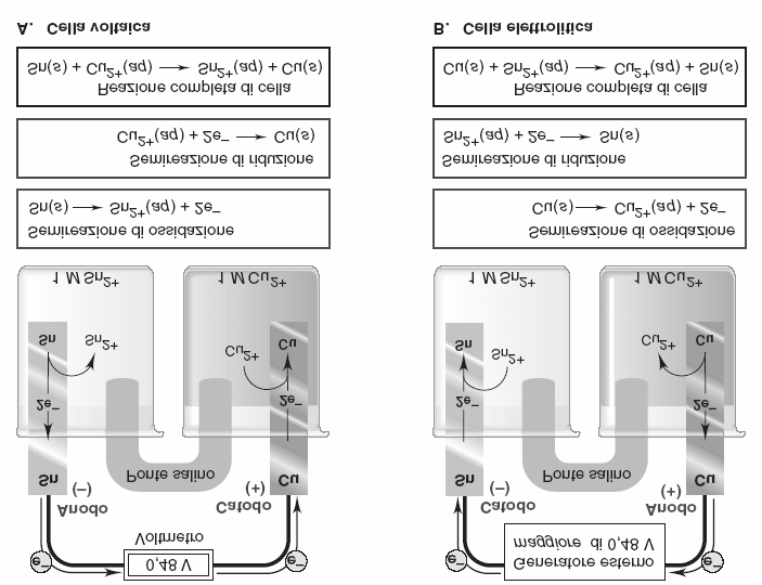 5 La reazione stagno-rame come base di una cella voltaica e di