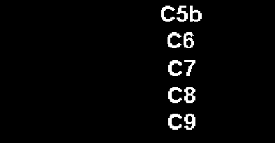 Azione dell eculizumab ECULIZUMAB Vasomotorie Chemiotattiche Regolatrici