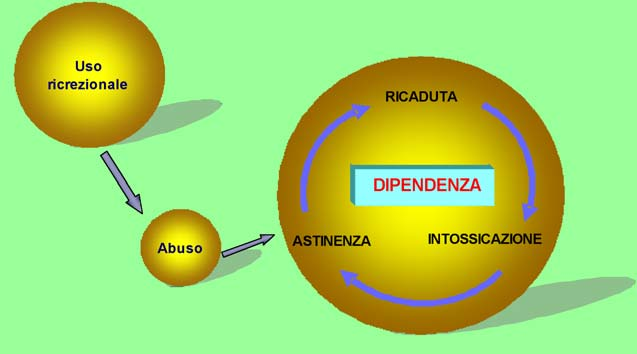 LE BASI NEUROBIOLOGICHE DELLA TOSSICODIPENDENZA: CENNI - 99 svolge un ruolo primario nei meccanismi neuroadattativi associati all uso prolungato dei farmaci di abuso.