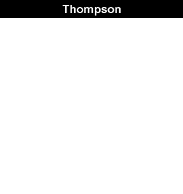 Il modello di Thomson: una sfera carica positivamente in cui