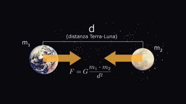 Per il principio di azione e reazione:!