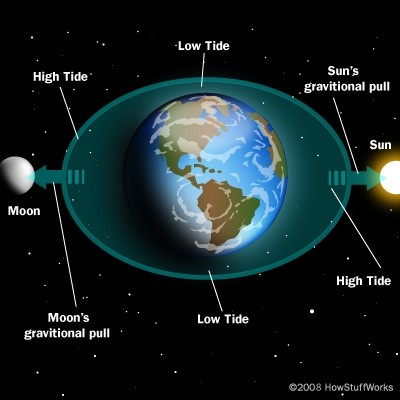 Tides Both Moon and Sun are responsible for the tides, but the contribution of the Sun is less than half that of the Moon.