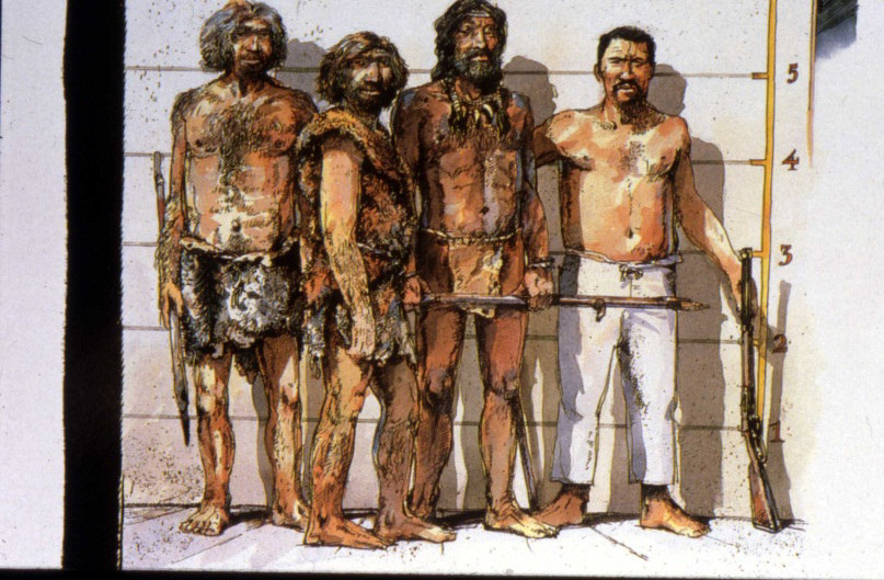 Adattamento, evoluzione Homo neanderthalensis - 250-40 ka - Europa/Vicino Oriente - ambienti freddi e glaciali - corporatura a basso rapporto