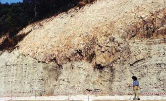 Fig. 3 - Stralcio carta geologica delle unità affioranti nell area di Ischitella. La scala è dtata dal reticolato chilometrico.