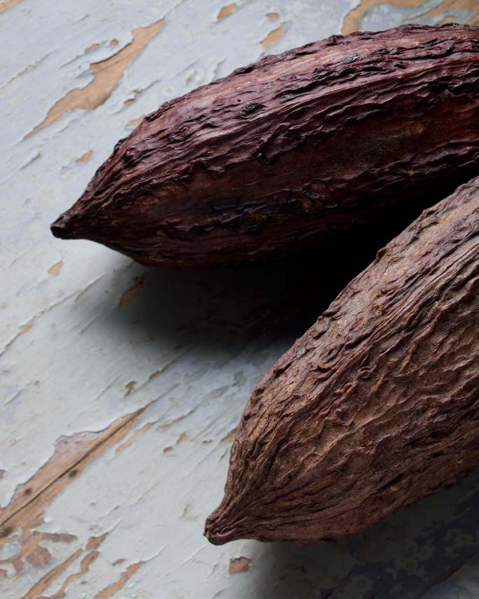 Il cioccolato La Molina è espressione di creatività, gusto e maestria tecnica.