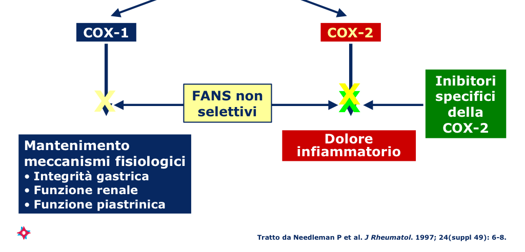 Cox-2 inibitori: Cascata dell acido