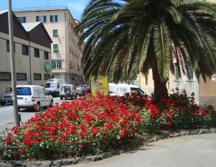 Giardini Piazza Lerda - Voltri Descrizione I giardini di Piazza Lerda presentano aiuole quasi totalmente costituite da rose. Sono altresì presenti palme e lecci.
