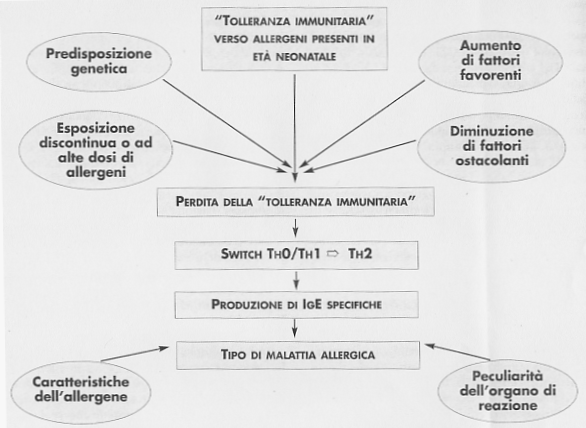 STORIA NATURALE DELLA COMPARSA DELLE ALLERGOPATIE