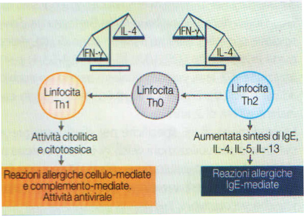 La teoria igienica (1) ambiente rurale famiglie numerose vita in comunità infezioni in età infantile