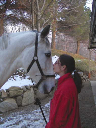 PREMESSA L idea di organizzare le lezioni del progetto La Pony Pioggia è nata dal desiderio di far conoscere meglio ai bambini il mondo equestre.