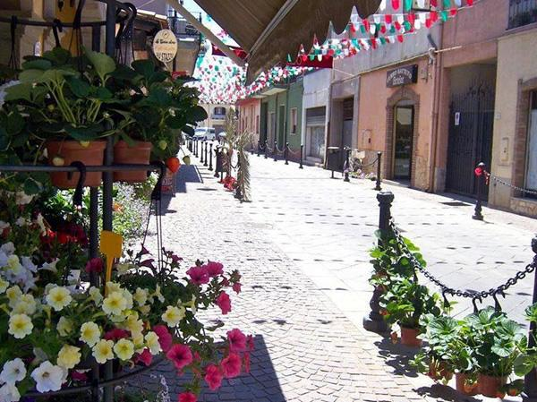 Dove Siamo PULA Situata a pochi passi dal mare, questa località nel cuore del Mediterraneo si pone come centro ideale per tutti coloro che vogliano immergersi in un esperienza linguistica e culturale