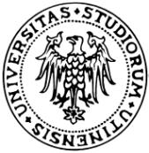Università degli Studi di Udine Alcuni dati sul portafoglio brevetti