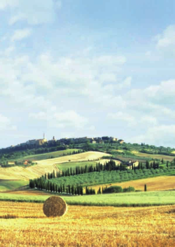 Immergersi nell 'autenticità del vivere toscano R Inspirate profondamente l odore della campagna Toscana che mischiandosi all aria frizzante del mattino riempie i polmoni.