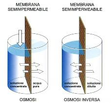 Movimento dell acqua trasporto dell acqua attraverso membrana Movimento dell acqua secondo gradiente di potenziale idrico Un potenziale di energia è l energia