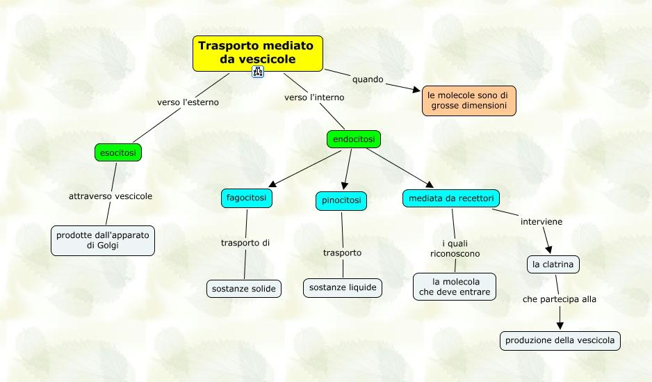 Trasporto