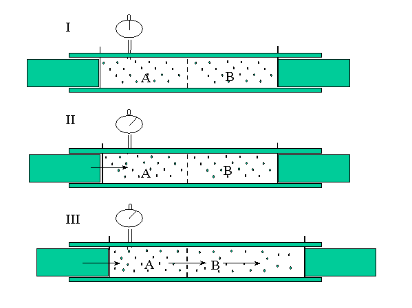 Trasporti dei soluti e dell acqua tra il LEC e il LIC: l osmosi End point: Acqua si muove fino a che la concentrazione dei soluti da entrambi i lati della membrana diventa uguale Oppure, fino a che