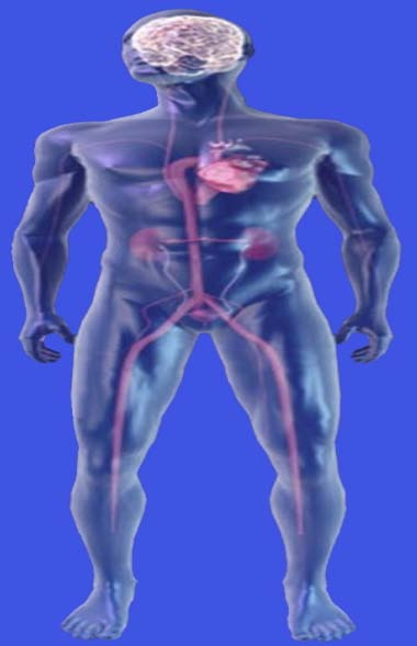 Precedente anamnesi positiva di ictus 1 Diabete mellito di tipo 2 alla diagnosi L impatto sul sistema cardiovascolare 7% Anomalie all ECG 2 18% Ipertensione arteriosa 2