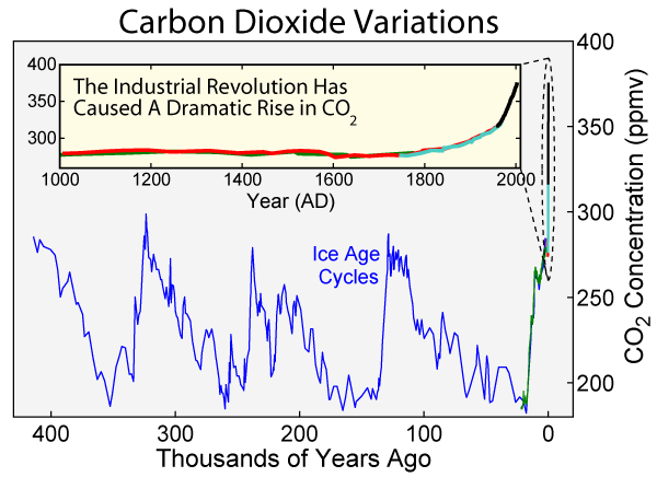 Variazione del contenuto di CO 2 I livelli