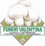 CARBON FOOTPRINT PRODUCT (CFP) EXTERNAL COMMUNICATION REPORT di FUNGHI FRESCHI BIO SGAMBATI IN