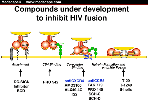 Inibizione INGRESSO Soprattutto per HIV sono in fase di studio molti inibitori di ingresso.