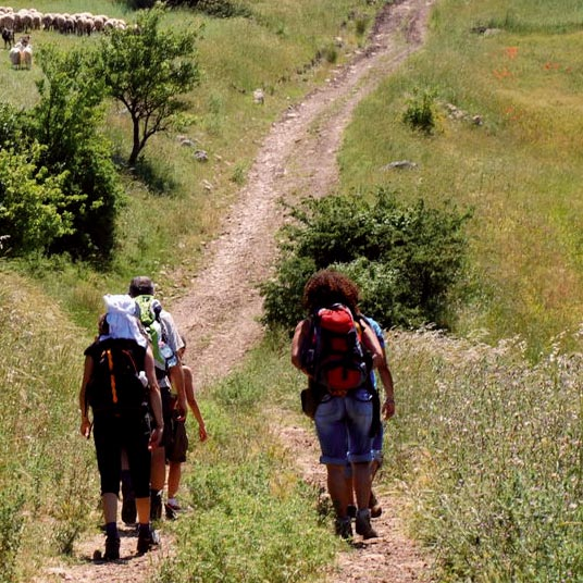Il Programma 2010 Domenica 12 Trekking e bike lungo la Via Francigena. Rivivere un antico cammino a Monteriggioni. In collaborazione con Polisportiva Vallerbike.