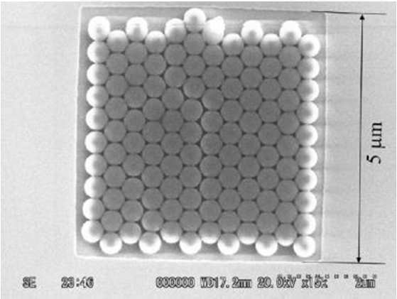 nanoparticelle / top - down polimero nanoparticelle