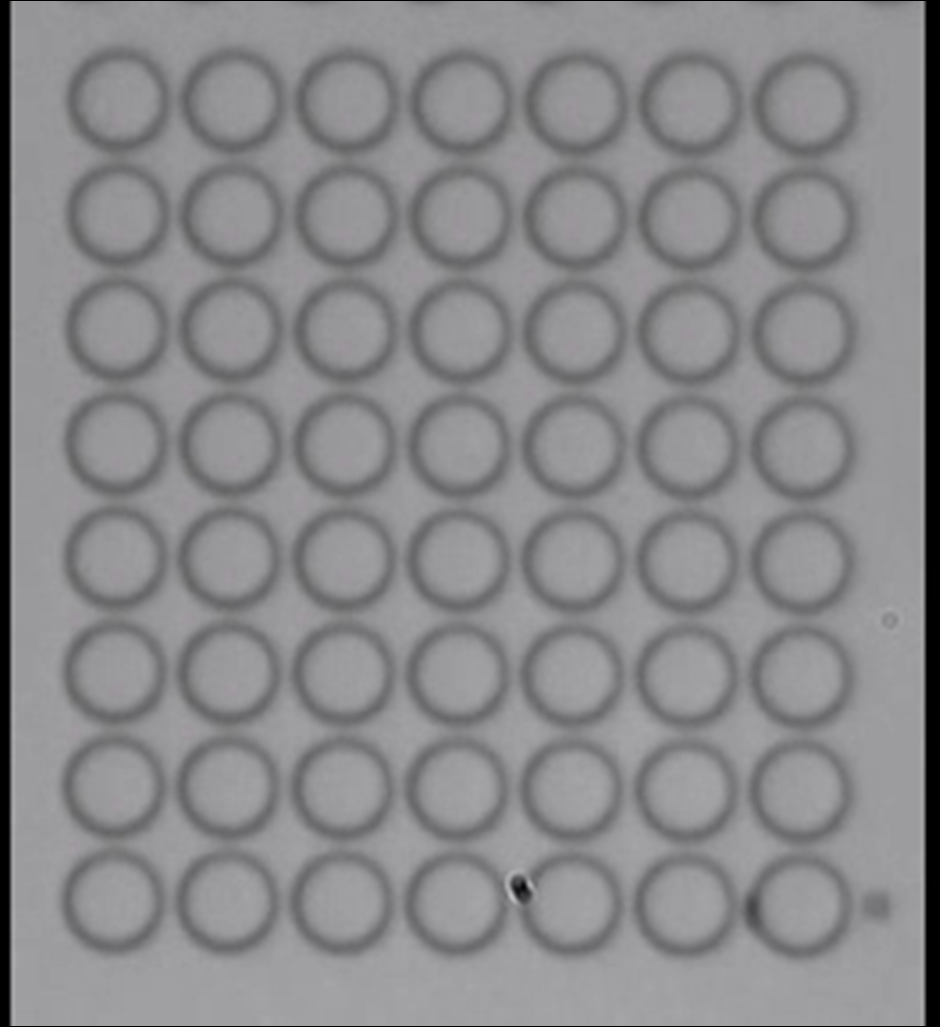 "trasporto" di particelle ambito biomedicale 2µm S N S N A. Sarella, A.