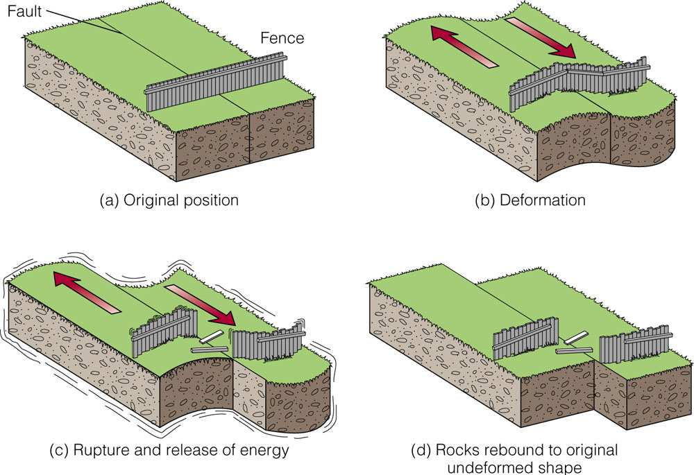 In terremoti situazione analoga: forze di compressione tra rocce portano ad accumulo energia elastica, prima deformazione, poi raggiungimento del limite di rottura liberazione energia = formazione