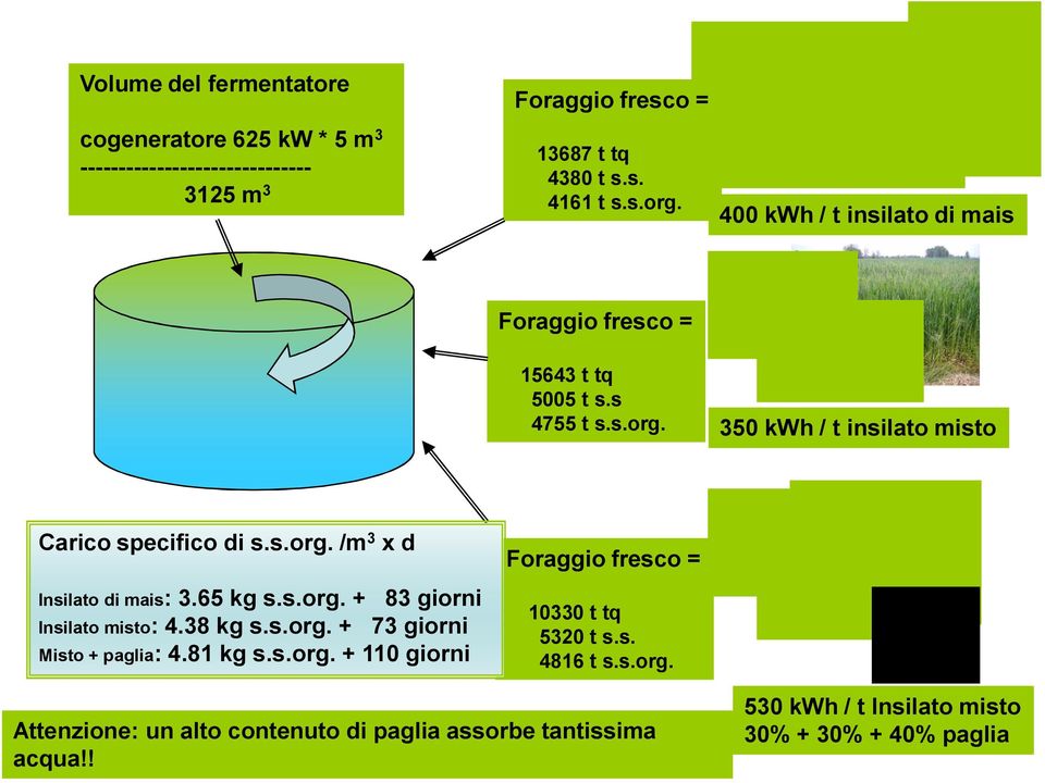 65 kg s.s.org. + 83 giorni Insilato misto: 4.38 kg s.s.org. + 73 giorni Misto + paglia: 4.81 kg s.s.org. + 110 giorni Foraggio fresco = 10330 t tq 5320 t s.