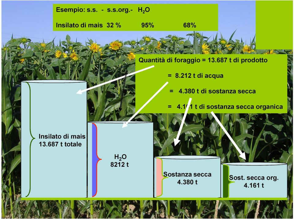 687 t di prodotto = 8.212 t di acqua = 4.380 t di sostanza secca = 4.