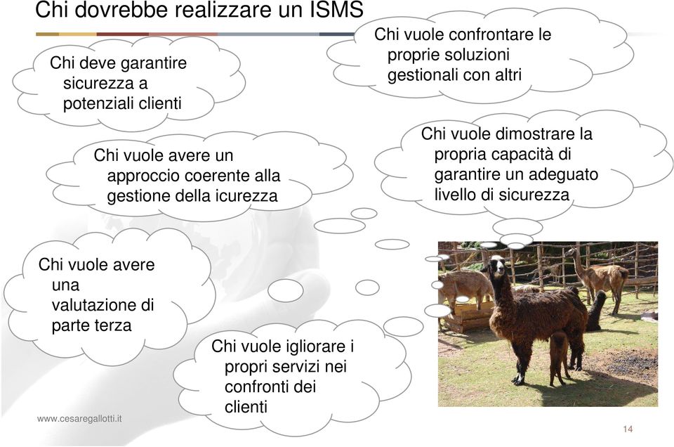 con altri Chi vuole dimostrare la propria capacità di garantire un adeguato livello di sicurezza Chi