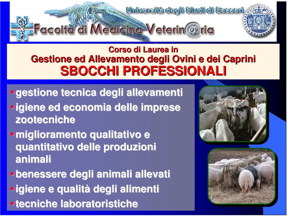 zootecniche miglioramento qualitativo e quantitativo delle produzioni animali