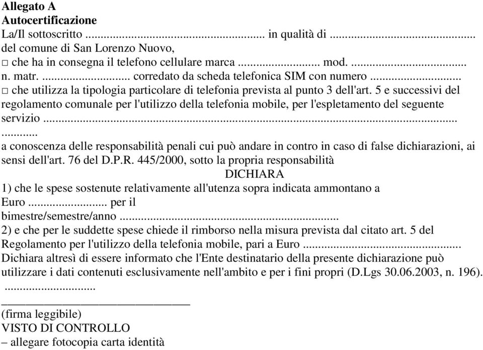 5 e successivi del regolamento comunale per l'utilizzo della telefonia mobile, per l'espletamento del seguente servizio.